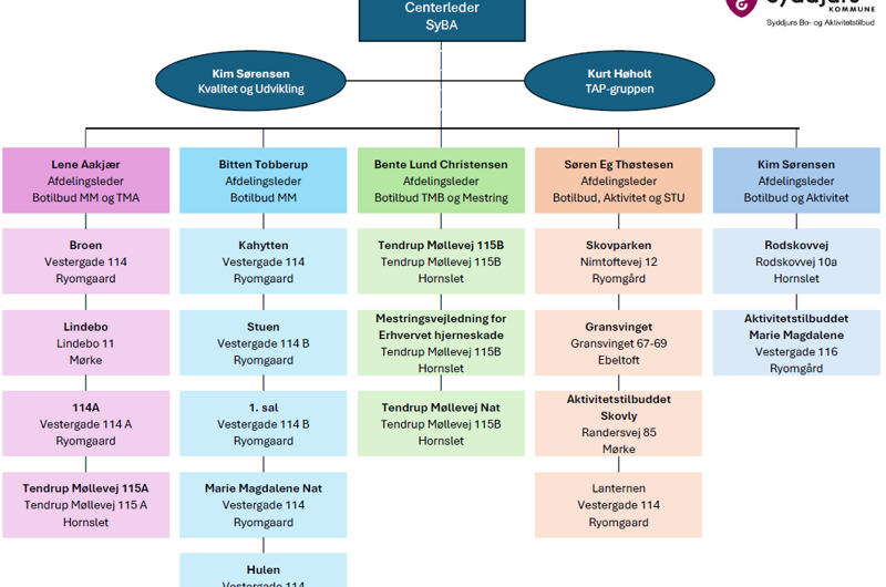Sybya Organsiationsplan for SyBA